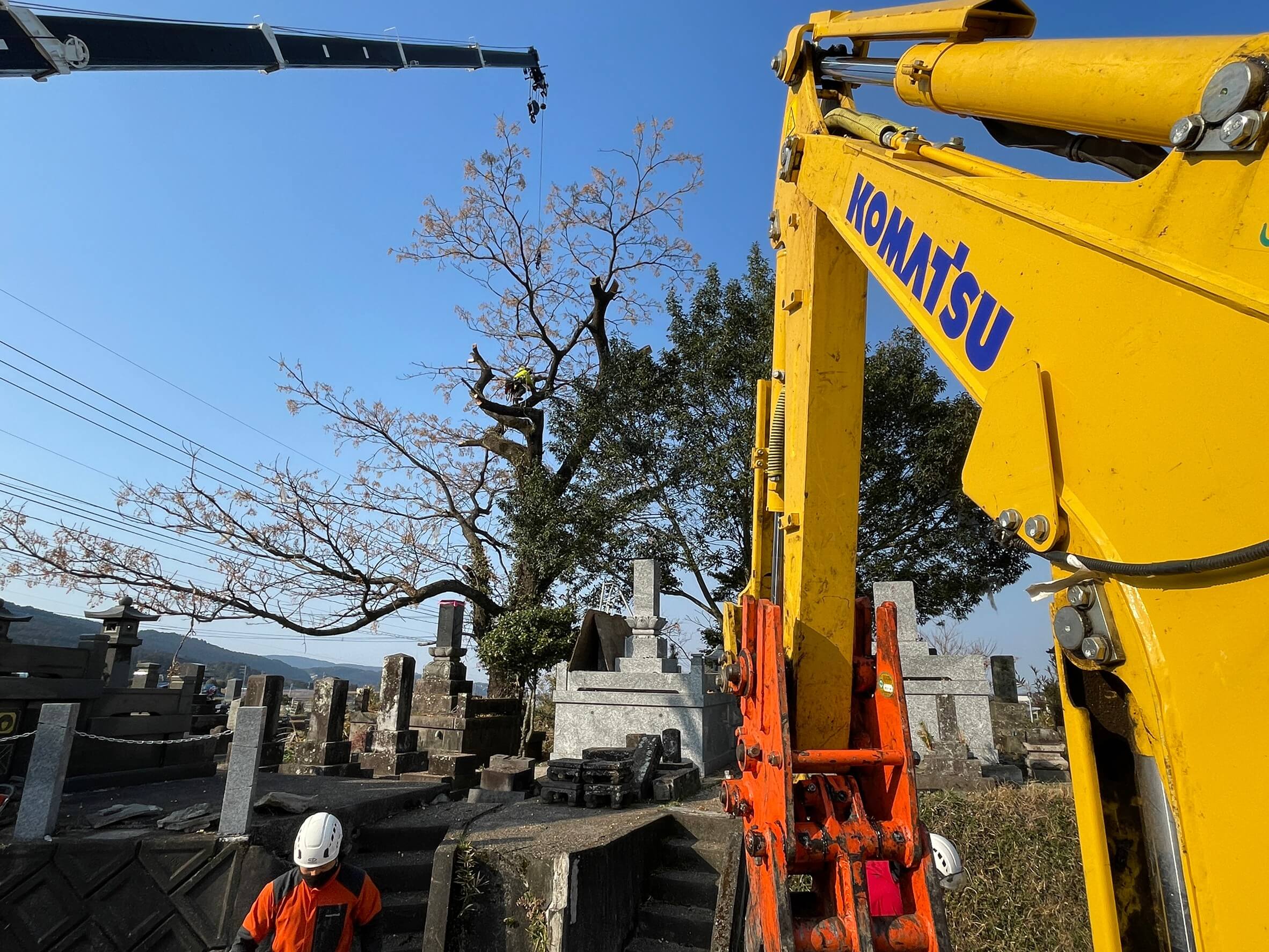 クレーン設置後、田嶋が木に登りこんで伐採作業を開始